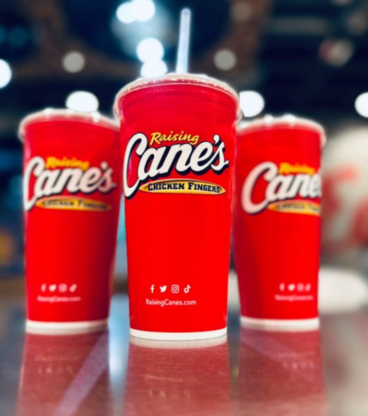 Raising Canes: An in-depth, crave-causing review