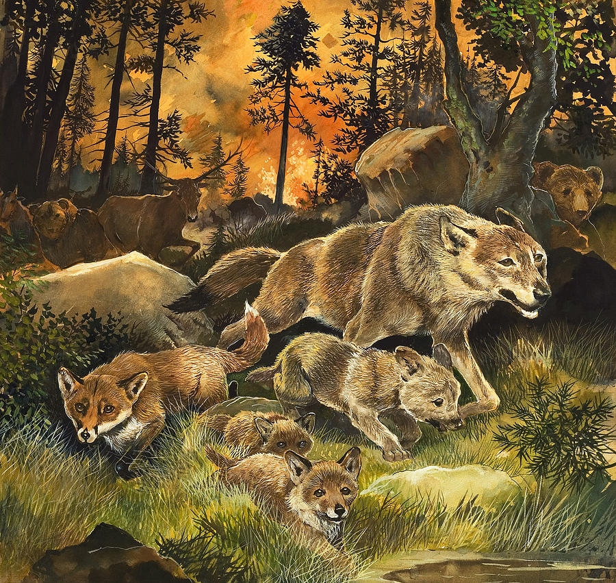 "Animals United in Terror as They Flee from a Forest Fire" by G W Backhouse