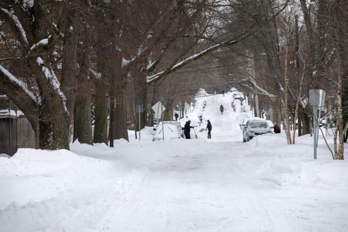 People starting digging out their vehicles in Cambridge after Boston's first major snowstorm of 2026.  (Robin Lubbock/WBUR)